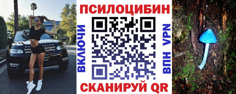 Псилоцибиновые грибы прущие грибы  продажа наркотиков  Яранск 